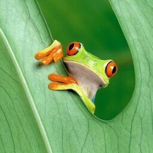 Meet your Posher, Cassie